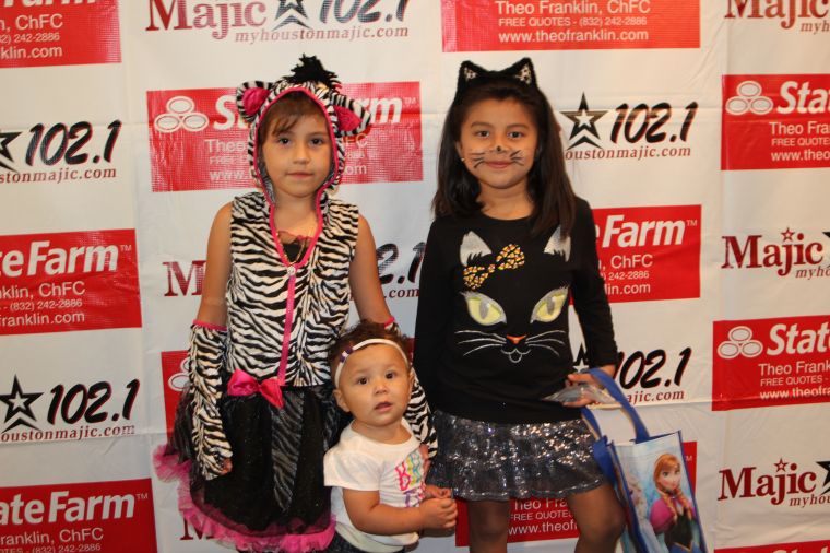 2014 State Farm Happy House