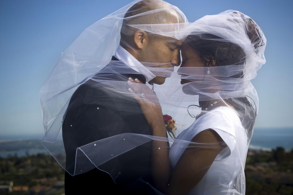 Profile of a newlywed young couple under a veil