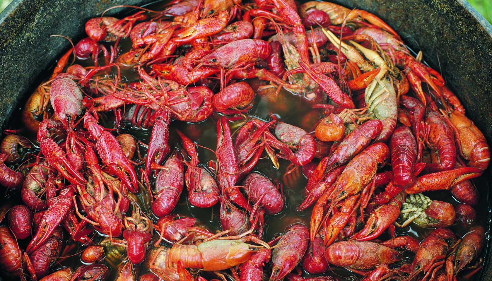 Crayfish Boil