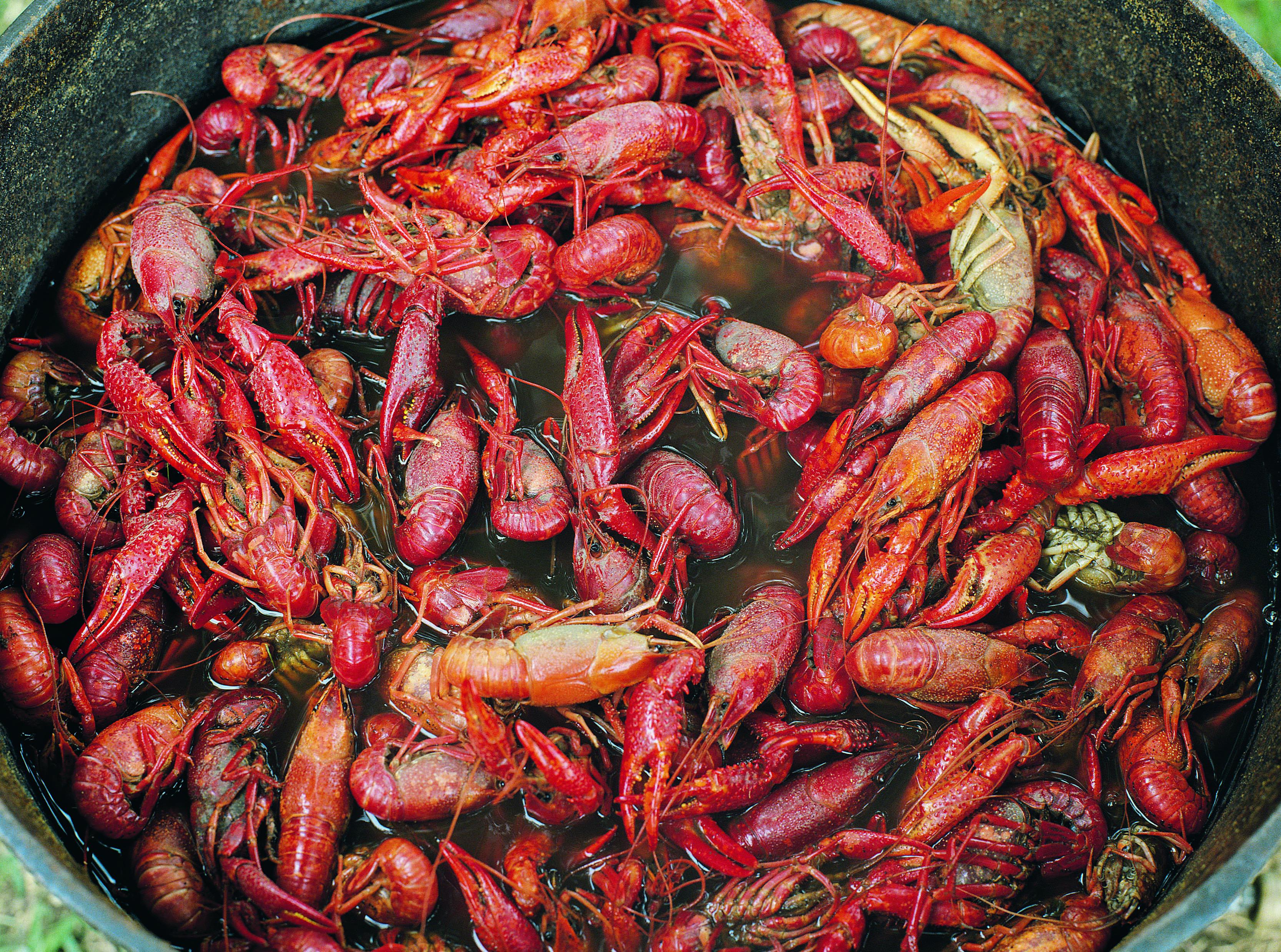 Fried Crawfish Etouffee Balls Recipe Majic 102.1