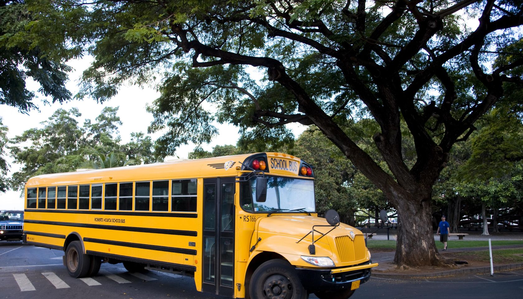 Local school bus.
