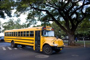 Local school bus.