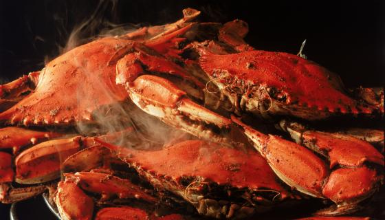 Crab and Shrimp Nacho Recipe