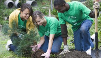 Volunteers planting a tree together