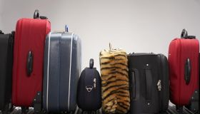 Various suitcases on conveyor belt