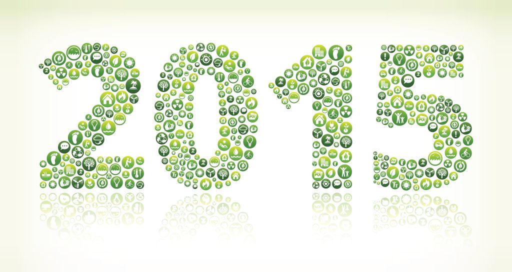 2015 Environmental Conservation Green Vector Button Pattern.