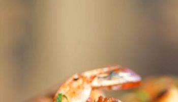 Guacamole Shrimp Wonton Cup Recipe