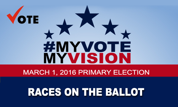 My Vote, My Vision 2016 Info