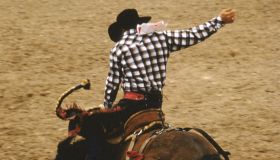 Bucking bronco rider in action at rodeo, side view