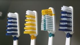 Four coloured toothbrushes.