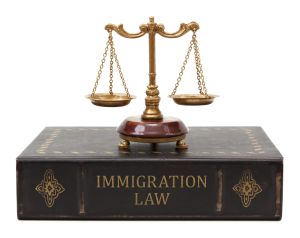 Immigration Law