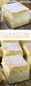 Vanilla Magic Custard Cake