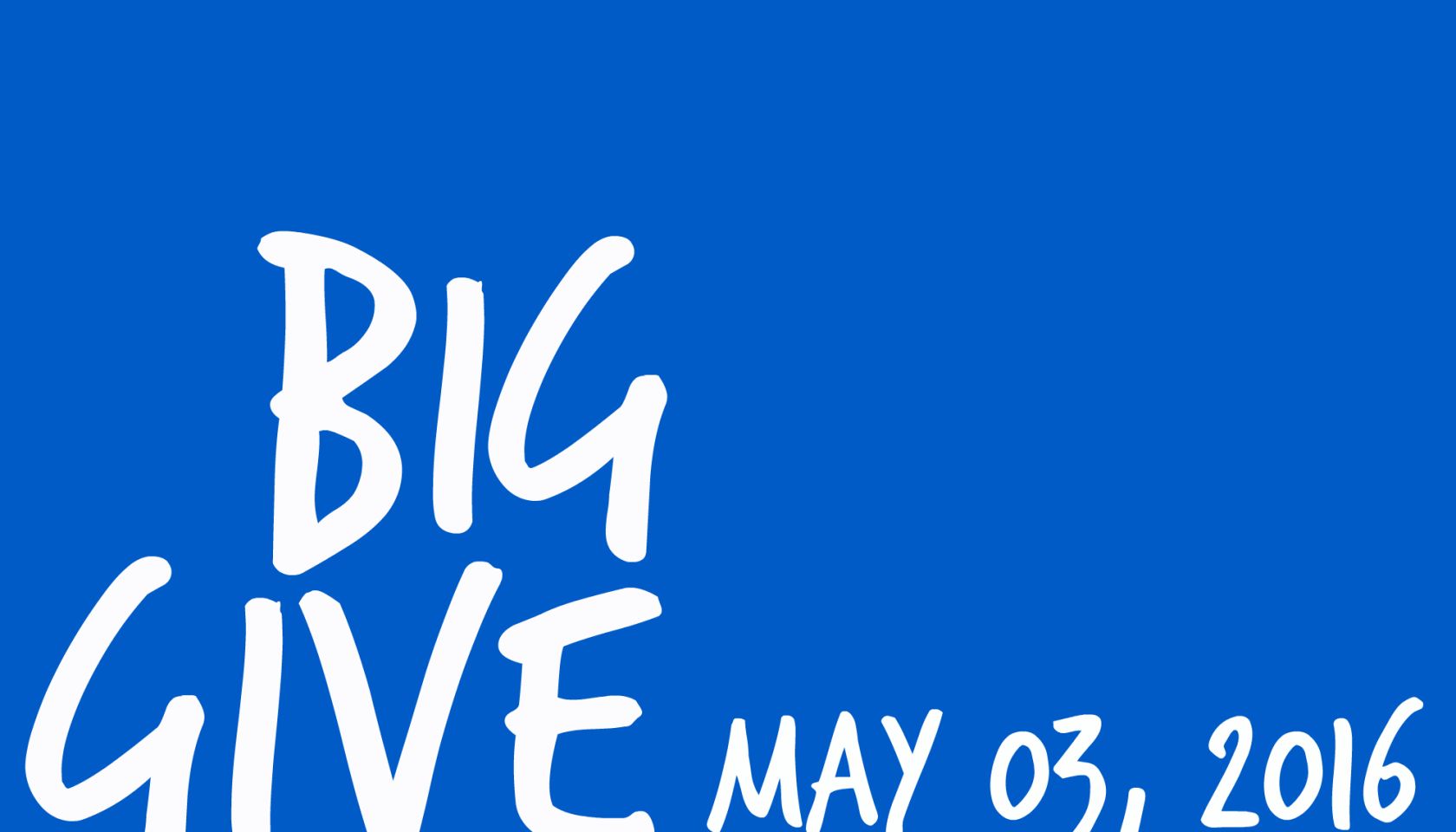 2016 Big Give Houston