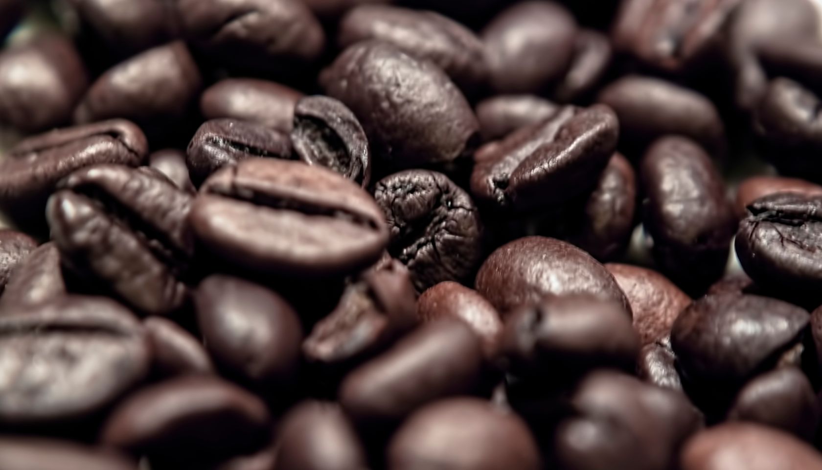 Roasted Coffee Beans