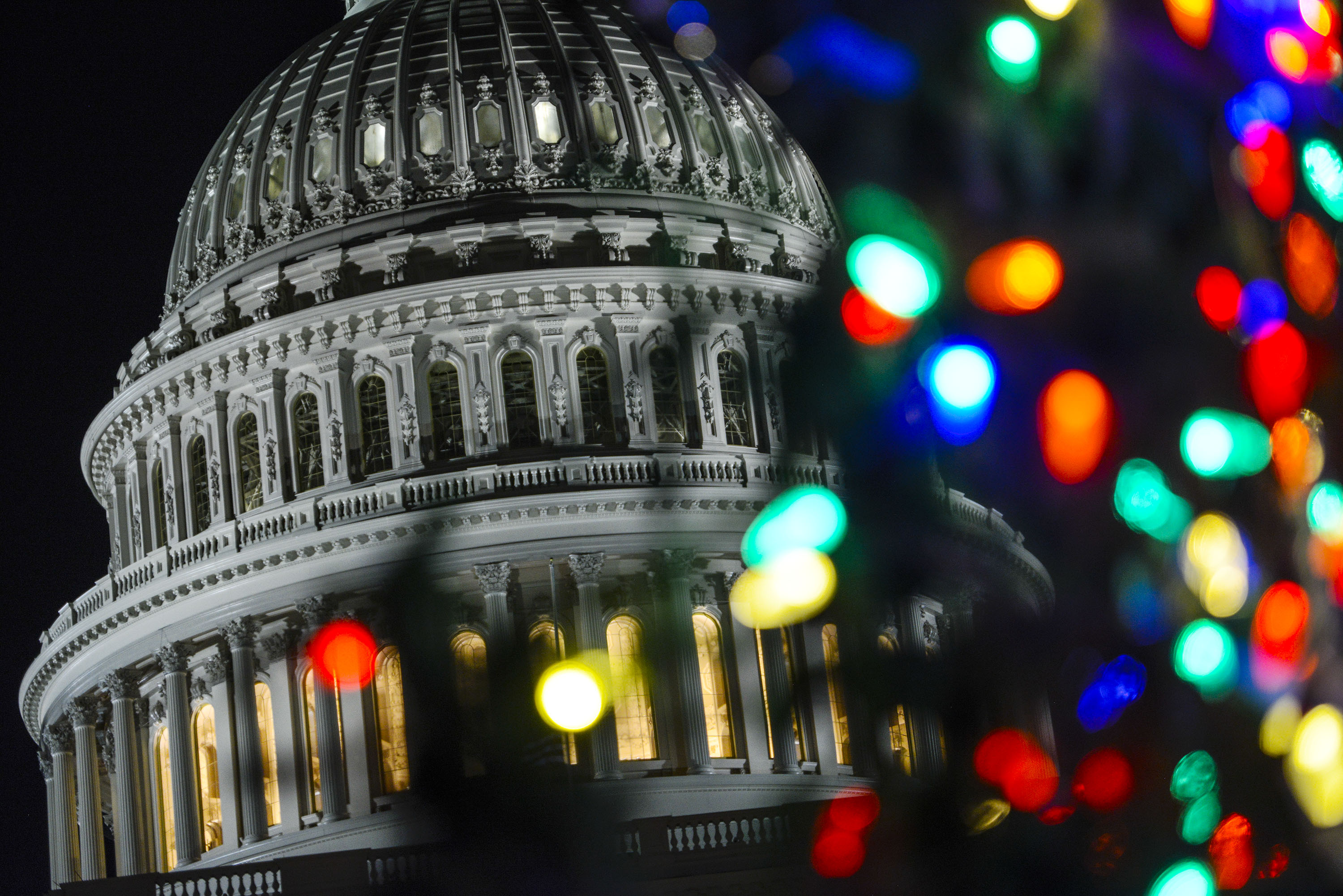 2016 Capital Christmas Tree