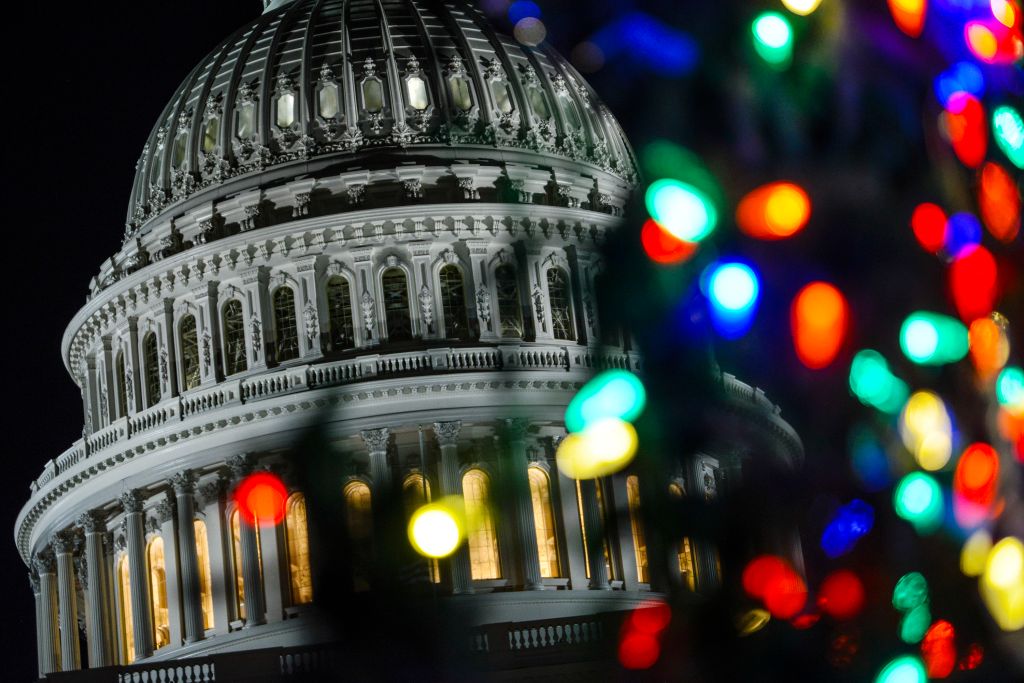 2016 Capital Christmas Tree
