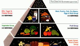 United States Department of Agriculture's Food Guide Pyramid