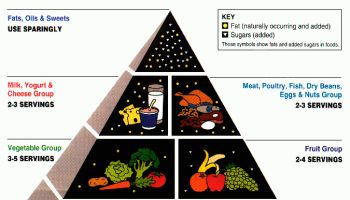United States Department of Agriculture's Food Guide Pyramid