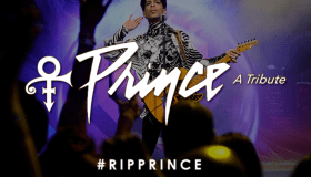Prince Tribute