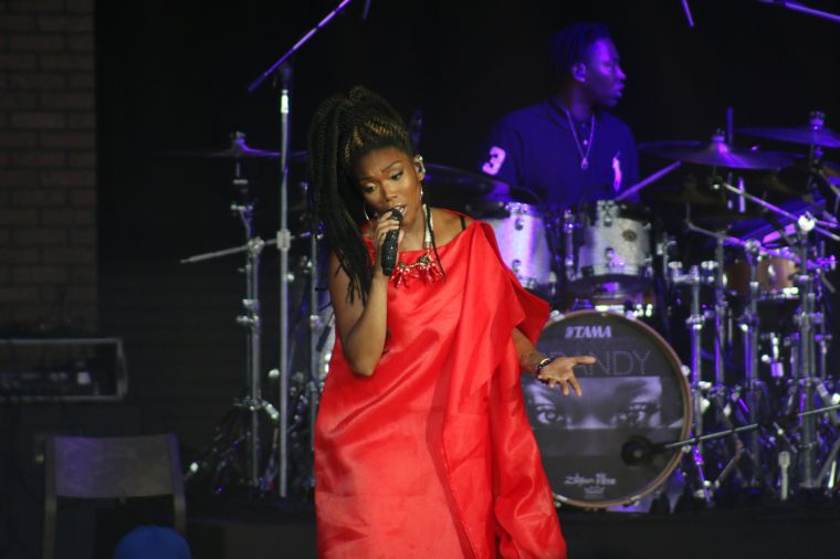 Majic Summer Block Party: Brandy [PHOTOS]