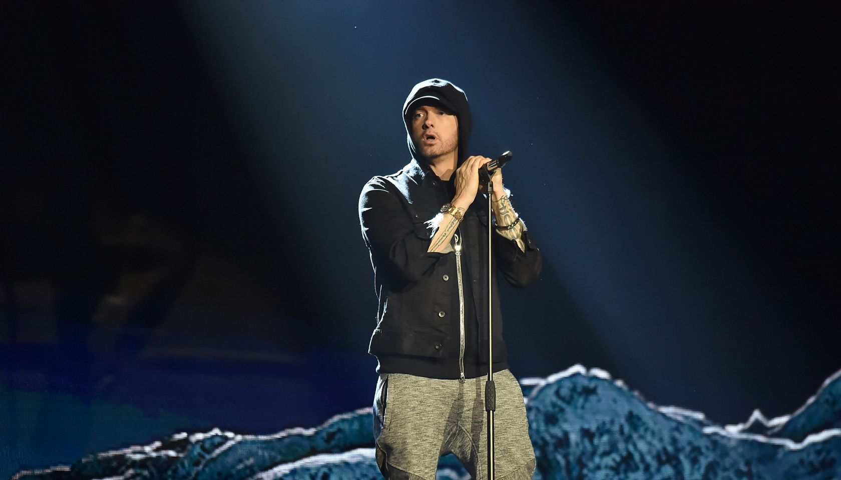 MTV EMAs 2017 - Show