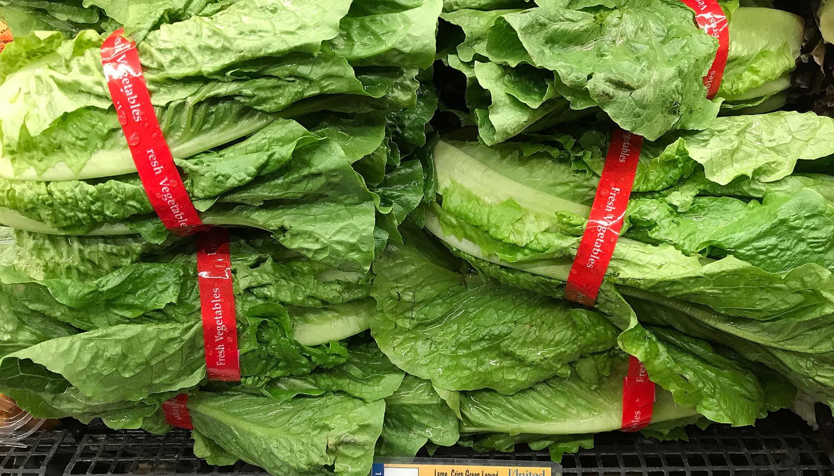 CDC Warns Americans Against Eating Romaine Lettuce After E Coli Outbreak