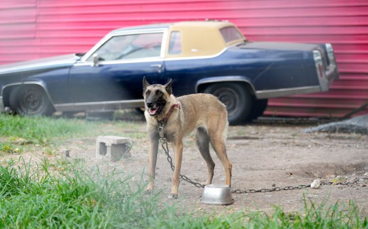 Southeast Houston