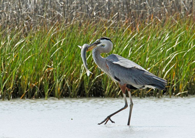 Corpus Christ, Texas