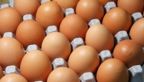 Fresh Brown Eggs in a Carton Nutritious Food Staple for Cooking and Healthy Eating