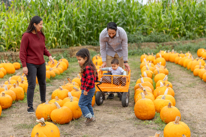 Dewberry Farm (Brookshire)