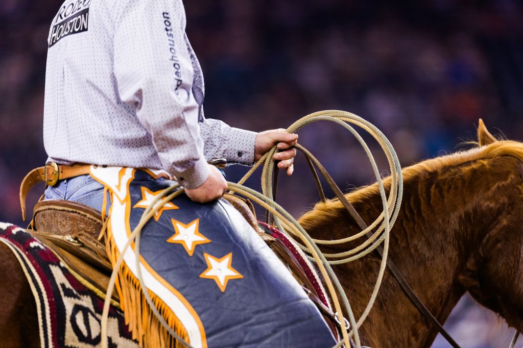 2026 Houston Livestock Show and Rodeo