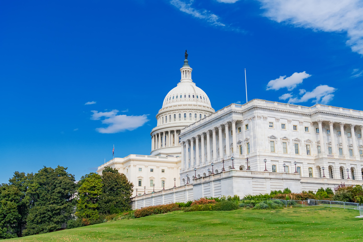 Lower View of the United States Capitol Showing Dome Columns and blue sky